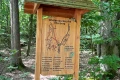 Holz-Infotafel des Waldentdeckerpfads Ellenberg im Wald