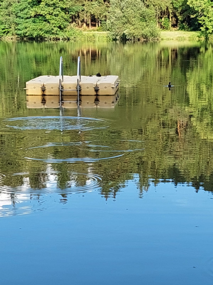 Schwimmplattform mit Einstiegsleiter im Häslestausee am Campingplatz Waldeck