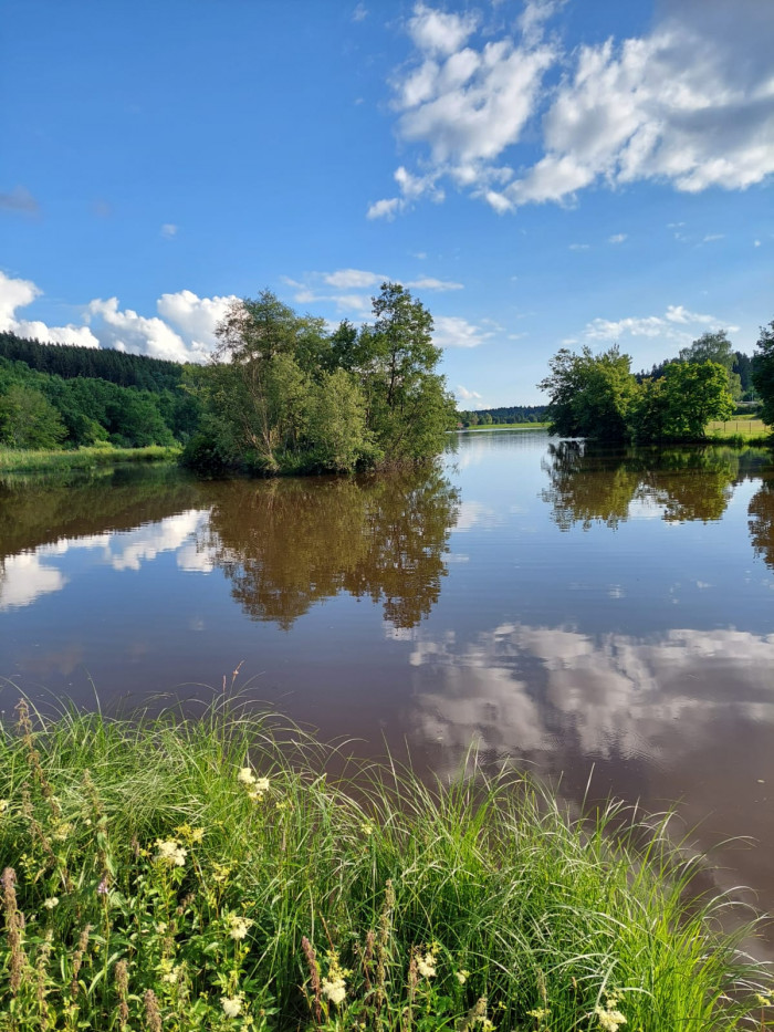 Häslestausee mit kleiner Baumgruppe und Wildblumen am Ufer beim Campingplatz Waldeck