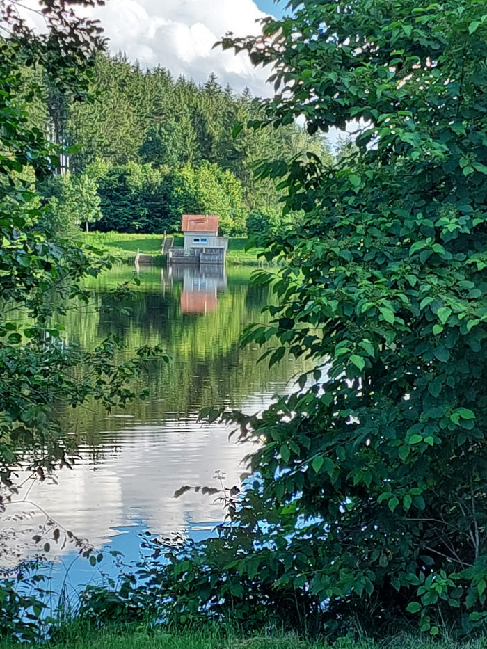 Naturnaher Blick durch Ufervegetation auf den Häslestausee beim Campingplatz Waldeck